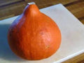 Red Kuri Hokkaido Squash Seeds - Heirloom Cucurbita maxima, 25 Pack, Japanese Vegetable Seeds for Fall Gardening