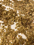 River Birch Tree Seeds - 50+ Betula nigra Hardy Fast-Growing Seeds for Fall Color & Landscaping