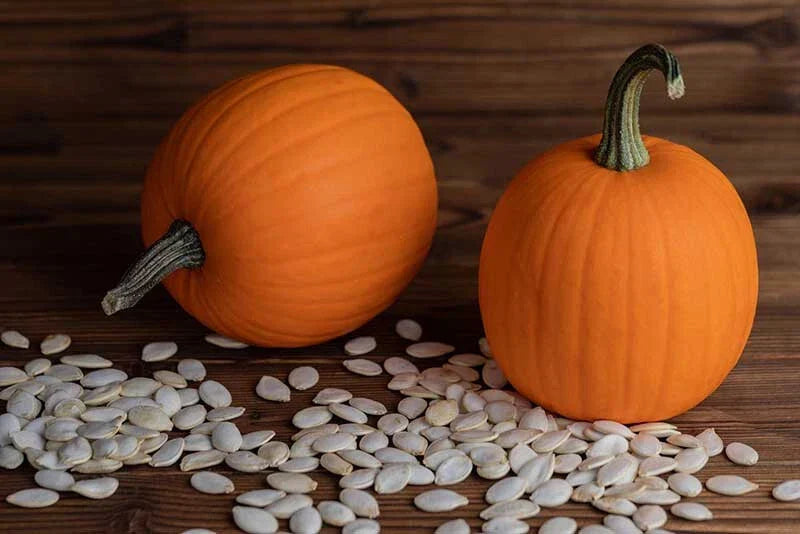 Autumn Gold Pumpkin Seeds - 25+ Pack for Garden Planting - Cucurbita pepo - Fall Harvest, Decorative, Edible, Non-GMO