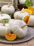 White Prince Pumpkin Seeds - Organic Cucurbita pepo for Growing, Decorative & Culinary Use, 25 Seeds