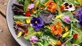 Organic Edible Flower Seed Mix - 100 Seeds for Culinary & Garden - Colorful Varieties - USA Grown