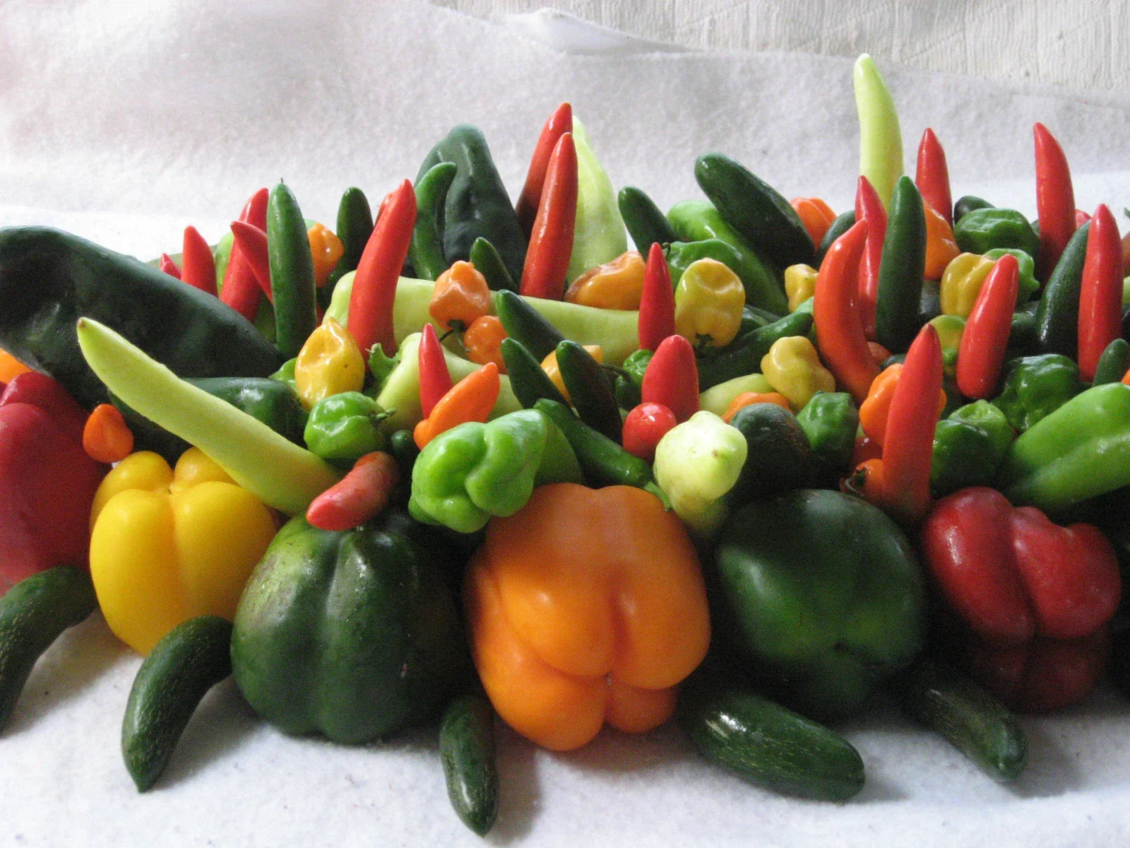 Holy Moley Pepper Seeds - 60 Count Mix of Sweet to Hot Capsicum annuum for Gardening & Culinary Use