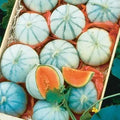 Organic Melon Seeds for Planting - Heirloom Cucumis melo - Non-GMO Garden Seeds for Home Gardening