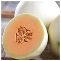 Honey Dew Orange Flesh Cantaloupe Seeds – 50+ Muskmelon Seeds for Home Gardens – Cucumis melo, Sweet Summer Fruit, Non-GMO