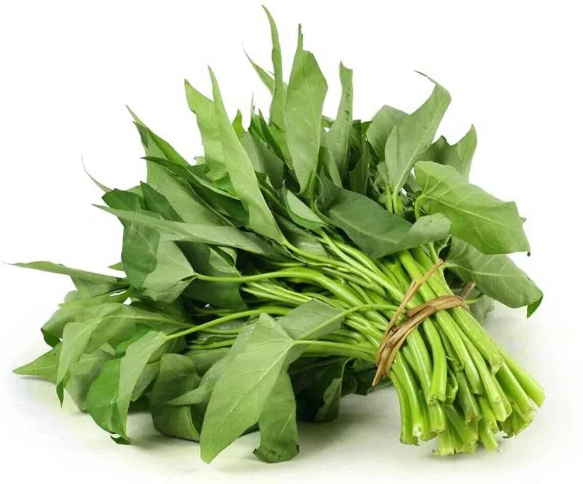 Kong Xin Cai Seeds 250 Pack Green Leaf Vegetable Seeds Brassica rapa var. chinensis for Garden Planting