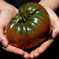 Russian Black Krim Tomato Seeds – Organic Heirloom Non-GMO Seeds for Home Garden, Salad, and Sauce Cultivation