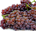 2pcs Red & Purple Champagne Grape Vine Cuttings Vitis vinifera Grow Your Own Fruit & Wine