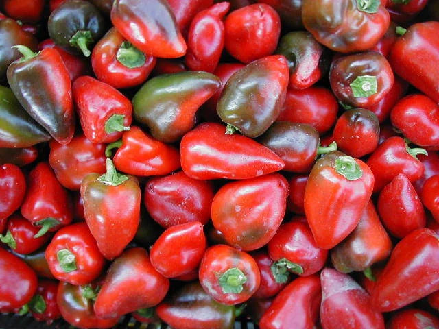 Sweet Pepper Seeds - Pimento L Variety - Heart-Shaped Capsicum annuum - 100 Packets for Gardening & Cooking