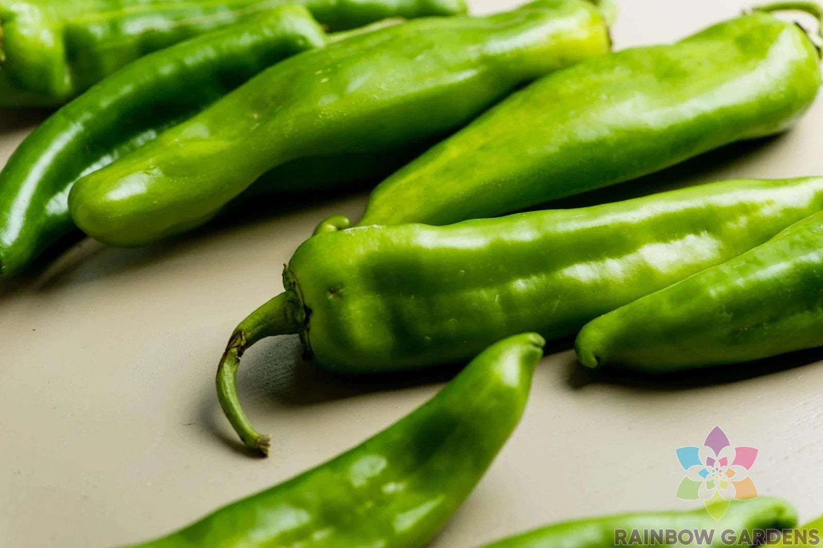 Hatch Chile Hot Pepper Seeds Pack of 25+ – Capsicum annuum for Garden, Spicy Culinary Use, USA Grown, Free Shipping