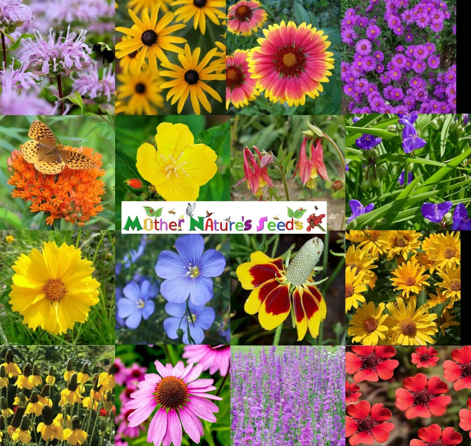 Wildflower Seed Mix - 1000 Heirloom Non-GMO Perennial Seeds for Butterflies & Bees - Native Varieties