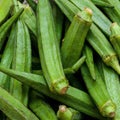 Perkins Long Pod Okra Seeds - Non-GMO, Spineless, Large Pods, Abelmoschus esculentus, Vegetable Garden, Heirloom, Fresh Harvest