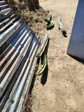 Giant Cactus Cuttings - Healthy Carnegiea gigantea - Indoor & Outdoor Succulents - Drought-Resistant Desert Plants