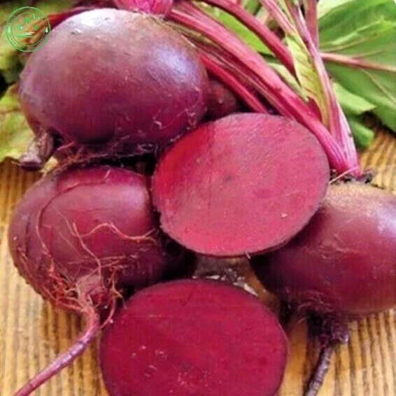Ruby Queen Beet Seeds - Heirloom Vegetable Seeds for Garden & Patio, Beta vulgaris, Easy to Grow, 100+ Seeds