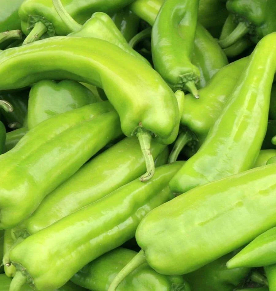Anaheim Chile Pepper Seeds - Non-GMO Heirloom Vegetable Seeds - Capsicum annuum - 50+ Packets for Home Garden, Salsa & Cooking