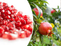25 Pomegranate Seeds Pack - Edible Fruit, Punica granatum, Tropical Garden, Landscaping, Home Growing