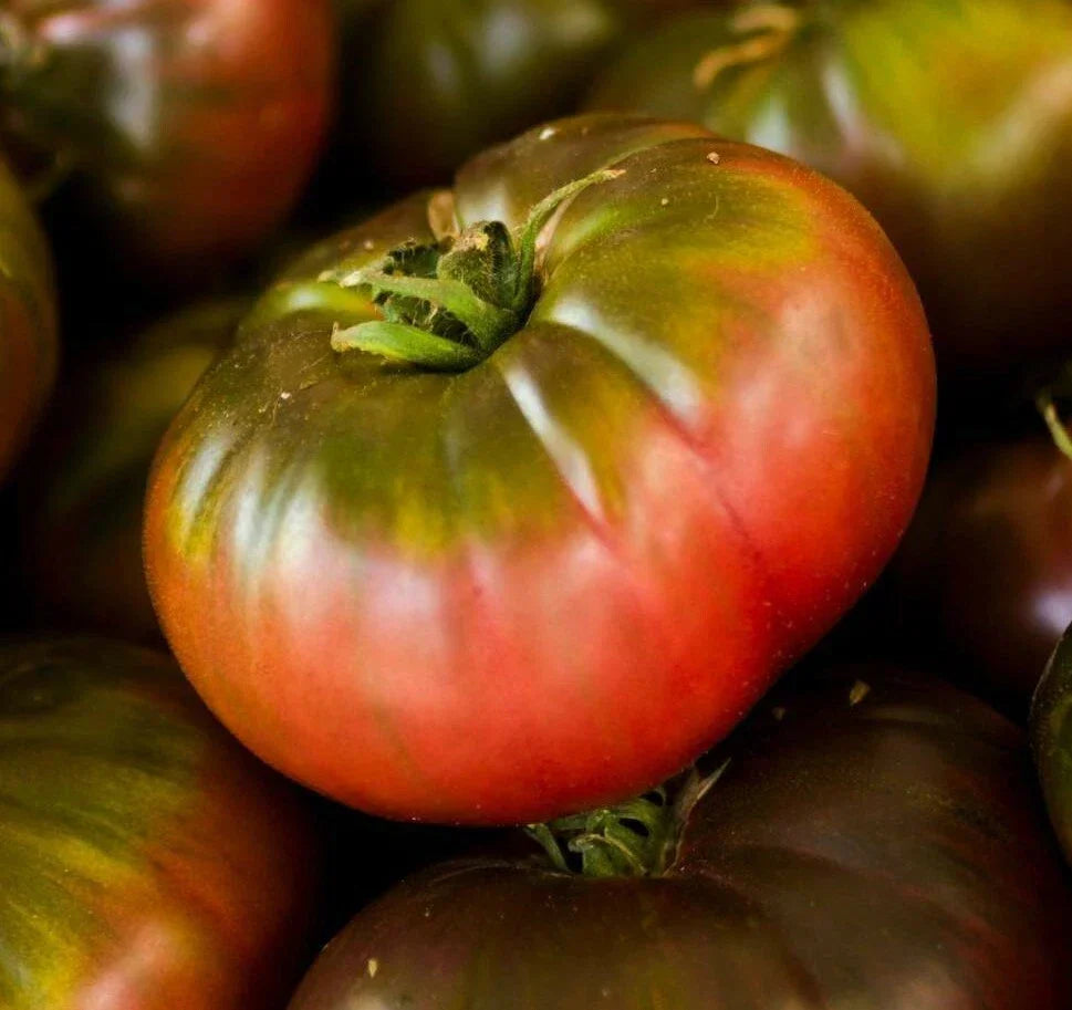 Cherokee Purple Tomato Seeds 50+ | Heirloom Indeterminate Vegetable Solanum lycopersicum