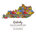 Kentucky Wildflower Seed Mix - 1000 Non-GMO Seeds, 25 Native Perennial & Annual Varieties for Pollinator Gardens