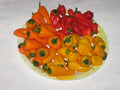 Bulk 100 Mini Bell Pepper Seeds – Red, Yellow, Orange, Capsicum annuum, Sweet, Compact Plants