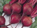 Ruby Queen Beet Seeds 1 LB Bulk – Beta vulgaris, Tender, Bright Color, Root Vegetable, Non-GMO, for Home Garden, Salad & Cooking