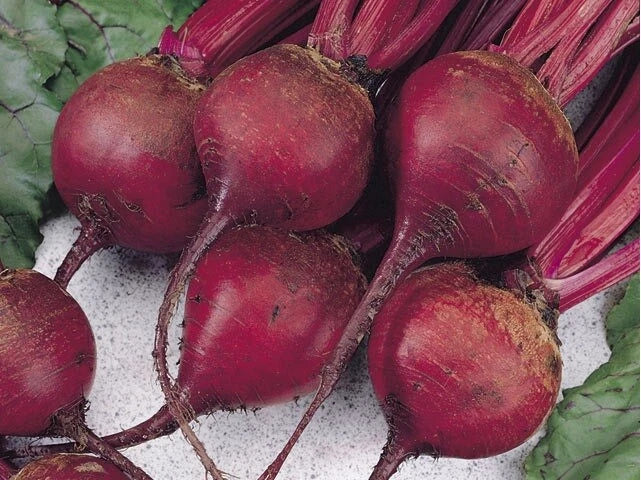 Ruby Queen Beet Seeds 1 LB Bulk – Beta vulgaris, Tender, Bright Color, Root Vegetable, Non-GMO, for Home Garden, Salad & Cooking