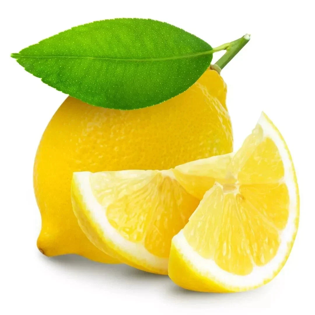 Lemon Seeds 15 Pack | Citrus Limon Fruit Tree for Garden, Indoor, or Patio Cultivation