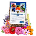 Bumblebee Bonanza Wildflower Seeds - 1oz Open-Pollinated Mix for Pollinators and Native Plants