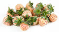 Large Live Plug Plant White Pineberry Strawberry Fragaria Ananassa 'Pineberry' Unique White Skin Juicy Berries