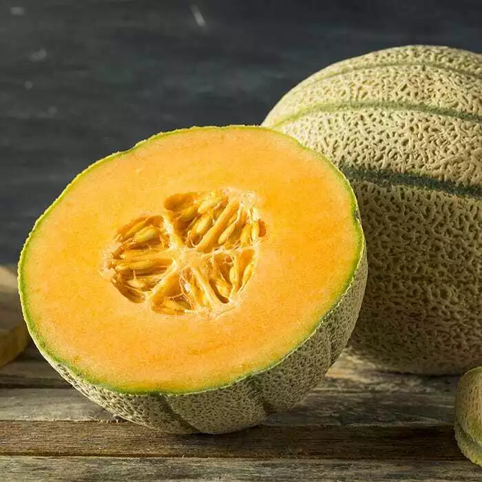 Honey Rock Melon Seeds, Non-GMO Cantaloupe, Sugar Rock Variety, Cucumis melo, for Home Garden, Full Sun, Vining