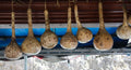 Dipper Gourd Seeds - 25+ Pack, Lagenaria siceraria, Vining Annual for Garden Planting, Crafting & Culinary Use
