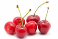 Sour Cherry Seeds - 10+ Pack - Tart Cherry Variety - Prunus cerasus - Garden Planting, Fruit Trees, Fast Shipping