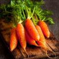 Little Fingers Carrot Seeds - Nantes Type, Baby Carrots, Organic, Non-GMO, Heirloom Variety, Daucus carota