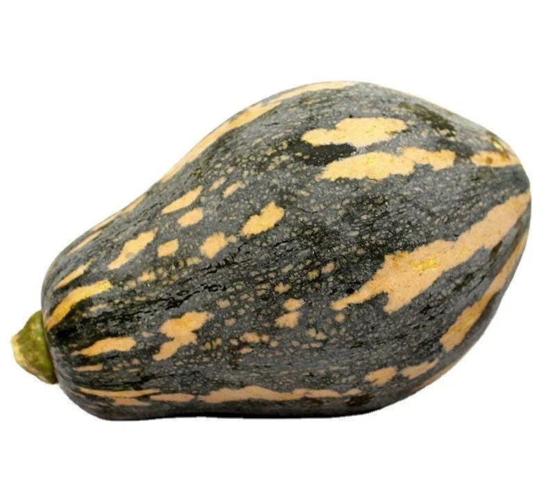 Taro Flavor Pumpkin Seeds - XiangYu Nangua Hybrid F1, Cucurbita maxima, 10+ Seeds for Home Garden, Winter Squash, Nutty Flavor