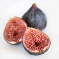 Black Mission Fig Seeds – Organic Ficus carica Fruit Tree Seeds for Home Garden & Container Planting, Non-GMO, USA Grown