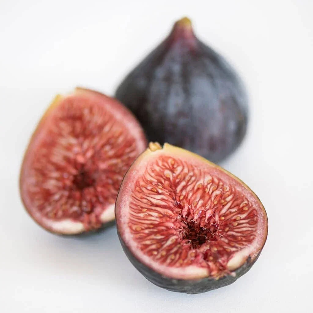 Black Mission Fig Seeds – Organic Ficus carica Fruit Tree Seeds for Home Garden & Container Planting, Non-GMO, USA Grown