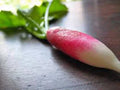 Heirloom Root Vegetable Seed Collection – 5 Varieties Non-GMO Seeds for Home Garden, Carrot, Beet, Radish, Turnip, Parsnip