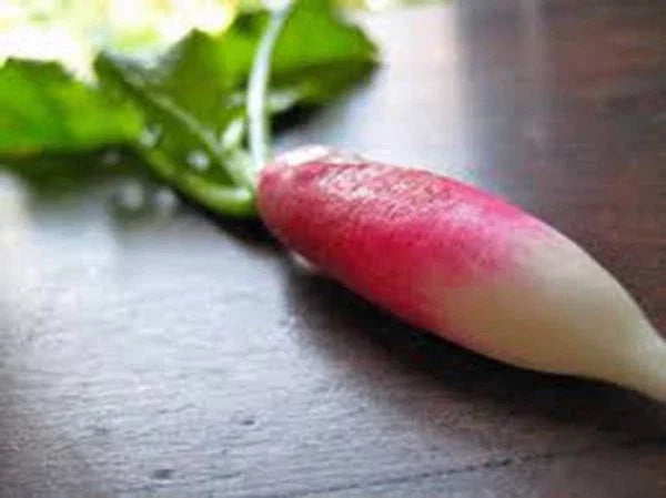 Heirloom Root Vegetable Seed Collection – 5 Varieties Non-GMO Seeds for Home Garden, Carrot, Beet, Radish, Turnip, Parsnip
