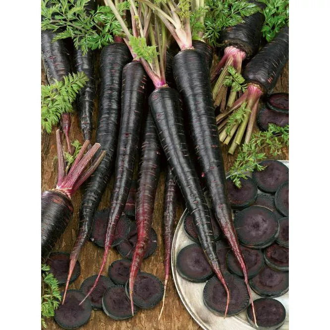 Black Nebula Carrot Seeds - 300 Non-GMO Heirloom Daucus carota Vegetable Seeds for Home Garden & Urban Farming