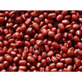 Small Red Soup Bean Seeds - Phaseolus vulgaris, Bush Type, Compact Growth, Edible Legumes for Home Gardens and Cooking