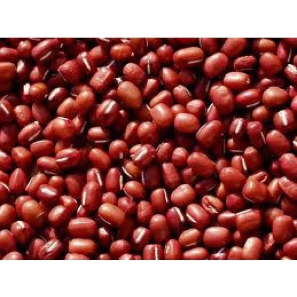 Small Red Soup Bean Seeds - Phaseolus vulgaris, Bush Type, Compact Growth, Edible Legumes for Home Gardens and Cooking