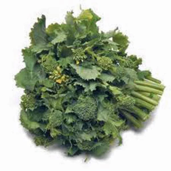 Broccoli Raab Seeds 100 Count - Heirloom Rapini, Non-GMO Vegetable Seeds for Home Garden, Fast-Growing Brassica rapa var. ruvo
