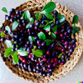Salal Berry Seeds - 100+ Edible Fruits - Evergreen Shrub Gaultheria shallon for Gardens & Landscaping