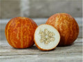 Tigger Melon Seeds - Organic Non-GMO Cucumis melo Aromatic Fruit for Garden & Container Growing