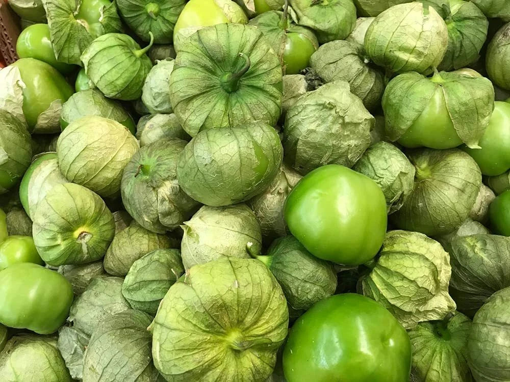 Rio Grande Verde Tomatillo Seeds - 100 Count, Physalis ixocarpa, Culinary, Salsa, Garden Planting