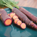 Purple Dragon Carrot Seeds - Organic Non-GMO Heirloom Vegetable Seeds - Daucus carota, 100+ Pack