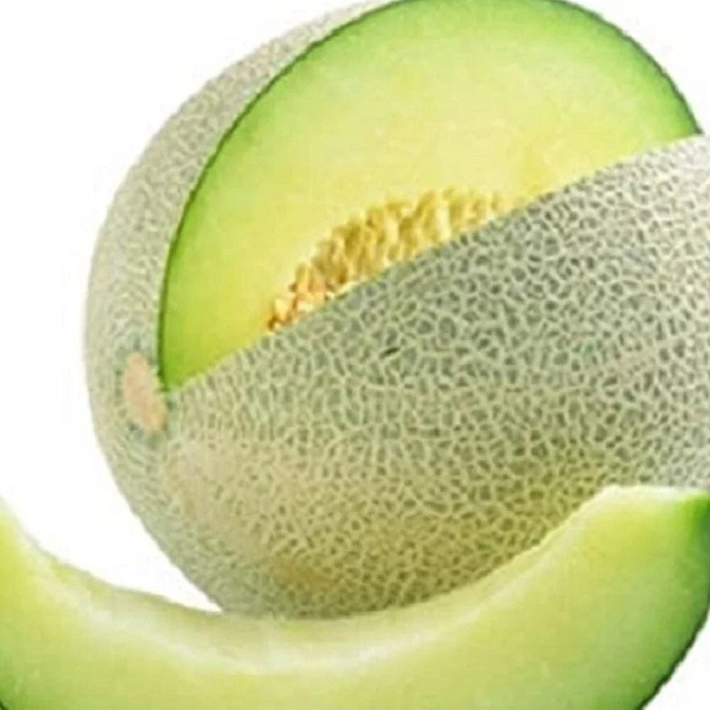 Honeydew Green Melon Seeds - Heirloom NON-GMO Cucumis melo var. inodorus for Garden, Summer Fruit, Vining, Fresh Seeds
