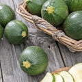 20 Fresh Round Zucchini Seeds - Summer Squash Cucurbita pepo, Non-GMO, Heirloom, Garden, Sauté, Grill, Baking
