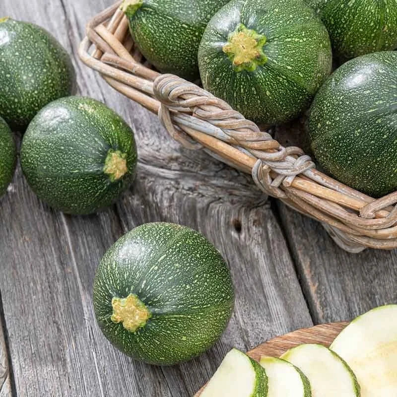 20 Fresh Round Zucchini Seeds - Summer Squash Cucurbita pepo, Non-GMO, Heirloom, Garden, Sauté, Grill, Baking