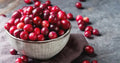 Organic Cranberry Seeds Pack of 50 Vaccinium macrocarpon Homegrown US Native Medici Variety