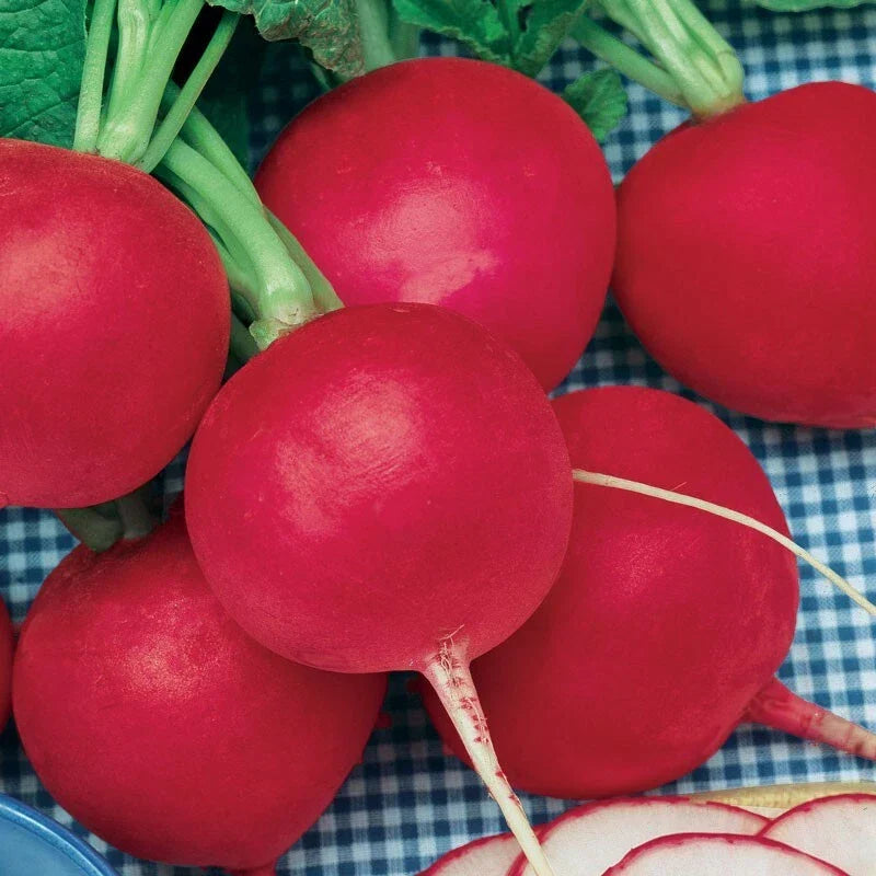 German Giant Radish Seeds - Large, Crispy, Delicious Raphanus sativus, Bulk 30-10,000 Seeds for Fast-Growing Garden Crop