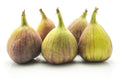 Kadota Fig Seeds - 100+ Count White Variety Ficus carica for Garden Planting, Homegrown Figs